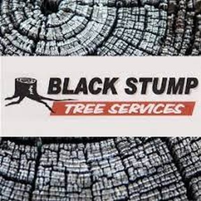 Arborist Adelaide Hills