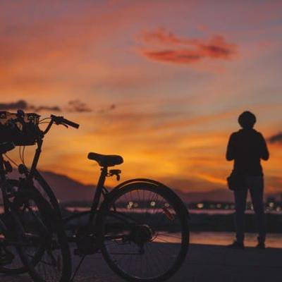 Dhanasekar Lord Shiva