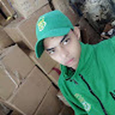 محمد المنشاوى