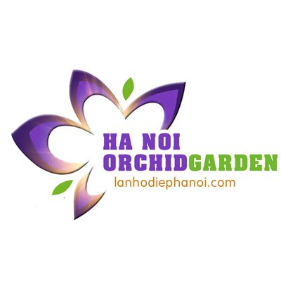 lanhodiephanoi