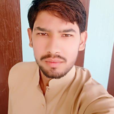 Malik Zeeshan Hassan
