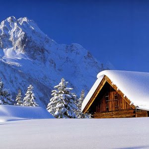 Mohamedabdelnabi Abdelnabi