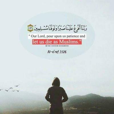 Møĥämmĕđ Sayed Abdel-kawii