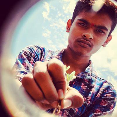 Nil Parekh