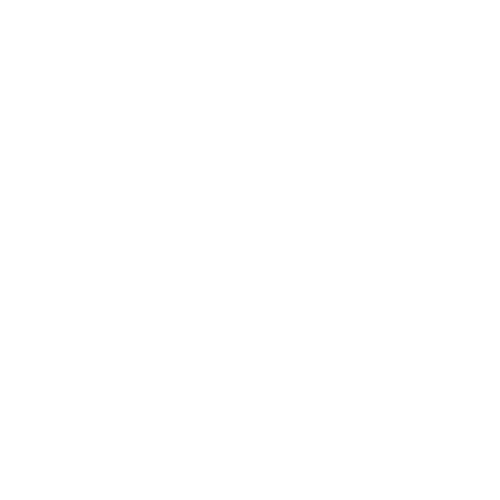 Ride On Battery
