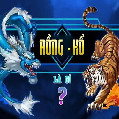 Rong ho Mu88vn
