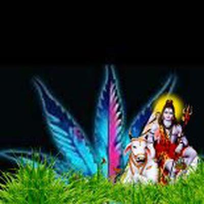 Surojit Mondal