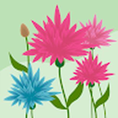 tanasvi digitalmarketing