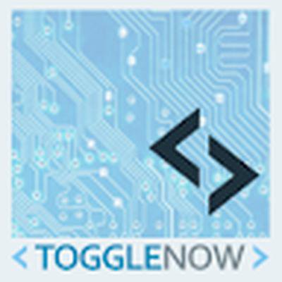 ToggleNow Software Solutions