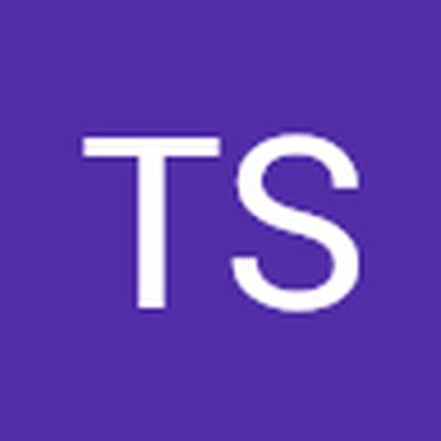 TS Media