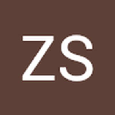 ZS Associate
