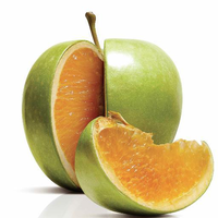 freakonomics.com Logo