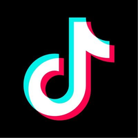 tiktok.com Logo