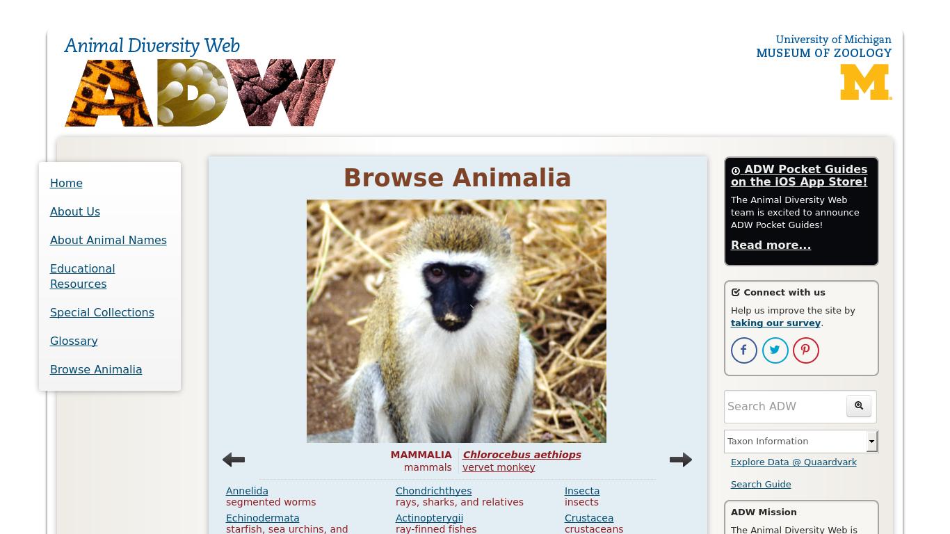 Animaldiversity