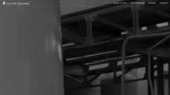 corvidsystems.com Logo