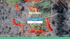 tumblr.com Logo